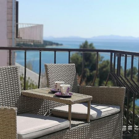 Apartman Studio Kod Ujevica 巴什卡沃达 外观 照片