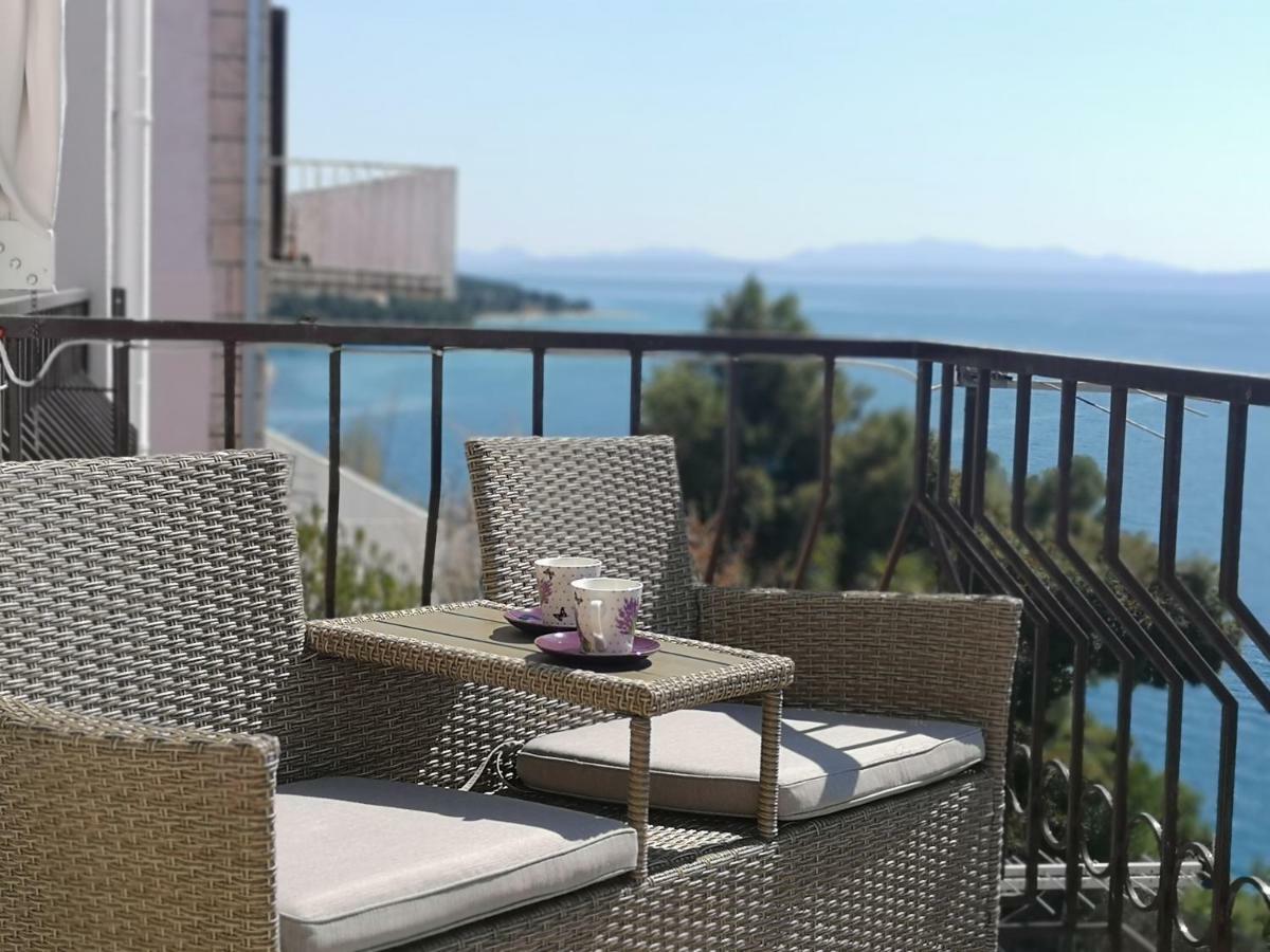 Apartman Studio Kod Ujevica 巴什卡沃达 外观 照片